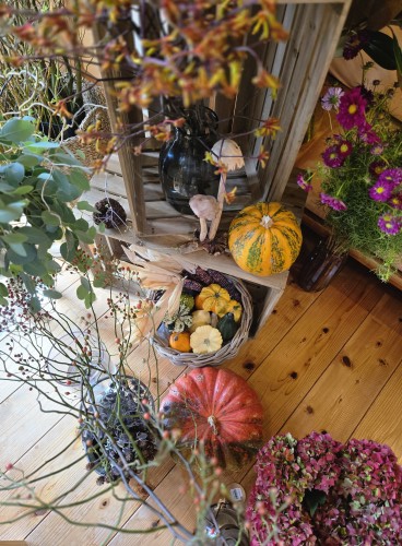 🎃 HALLOWEENって、どんな日?